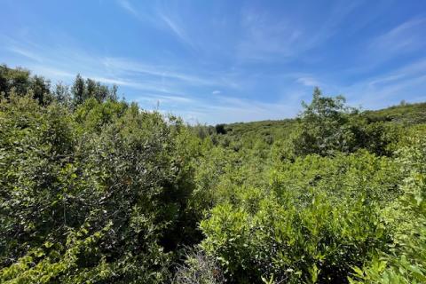 Terreno edificabile Krk, 3.170m2