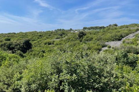 Terreno edificabile Krk, 3.170m2