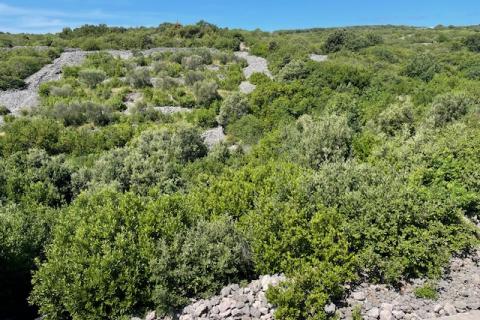 Terreno edificabile Krk, 3.170m2