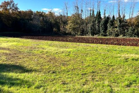 Istra, Umag - građevinsko zemljište stambene namjene 