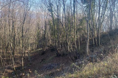 Terreno edificabile Bregi, Matulji, 6.432m2