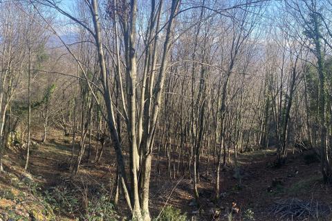 Terreno edificabile Bregi, Matulji, 6.432m2