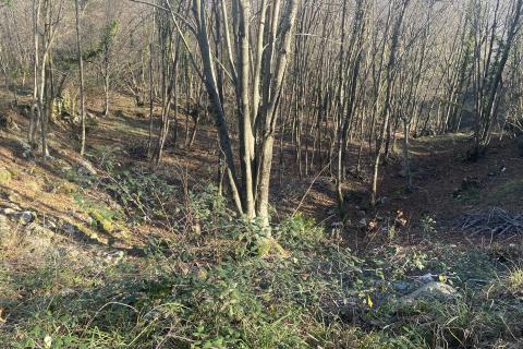 Terreno edificabile Bregi, Matulji, 6.432m2