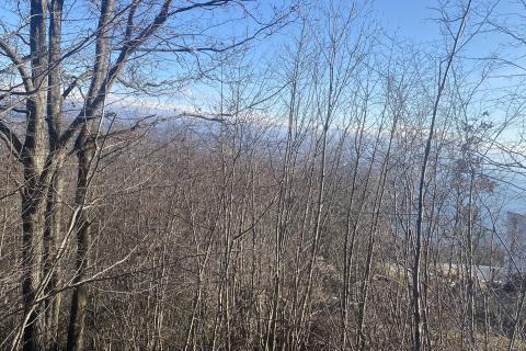 Terreno edificabile Bregi, Matulji, 6.432m2