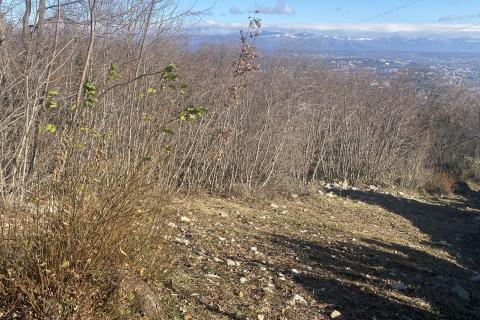 Terreno edificabile Bregi, Matulji, 6.432m2