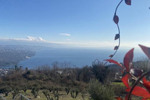 Terreno edificabile Bregi, Matulji, 6.432m2