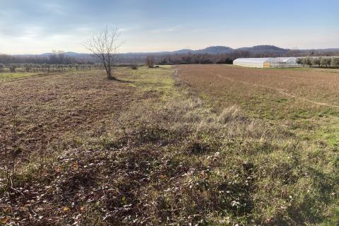 Nicht-strukturelle Land Kadumi, Poreč, 7.670m2