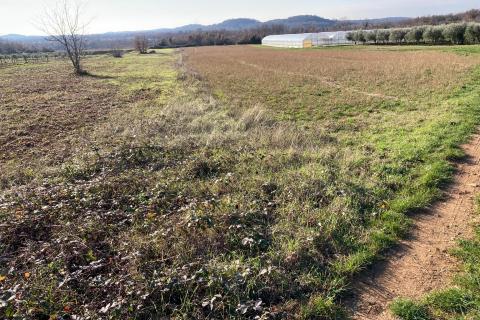 Nicht-strukturelle Land Kadumi, Poreč, 7.670m2