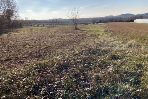 Nicht-strukturelle Land Kadumi, Poreč, 7.670m2