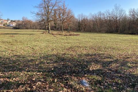 Niet bouwgrond Mušalež, Poreč, 19.665m2