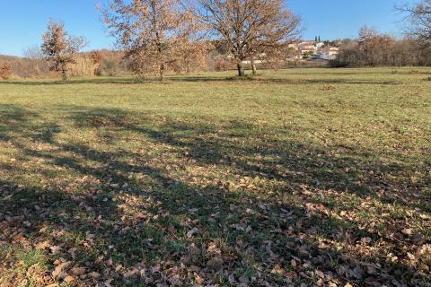 Niet bouwgrond Mušalež, Poreč, 19.665m2