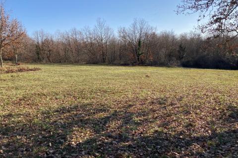 Niet bouwgrond Mušalež, Poreč, 19.665m2