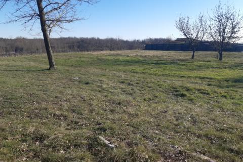 Stavbno zemljišče Beram, Pazin - Okolica, 1.975m2