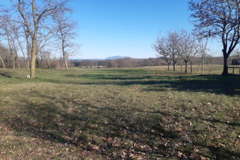 Stavbno zemljišče Beram, Pazin - Okolica, 1.975m2