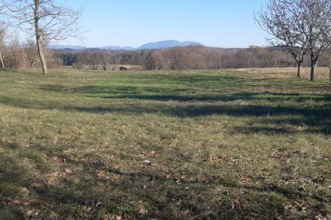 Stavbno zemljišče Beram, Pazin - Okolica, 1.975m2