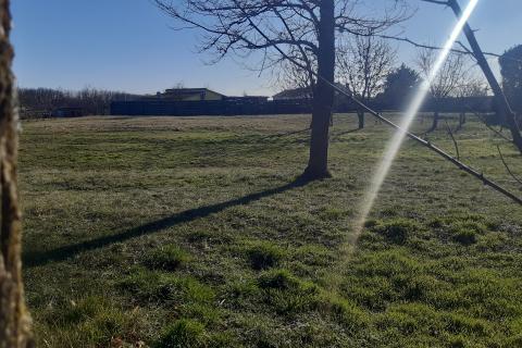 Stavbno zemljišče Beram, Pazin - Okolica, 1.975m2