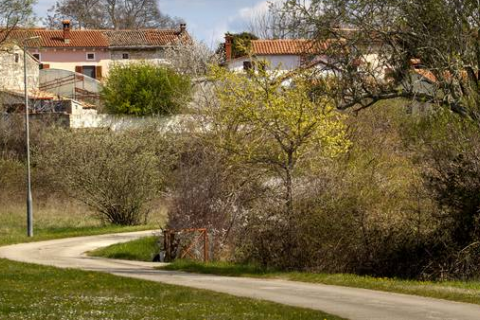 Terreno non edificabile Krmed, Bale, 28.844m2