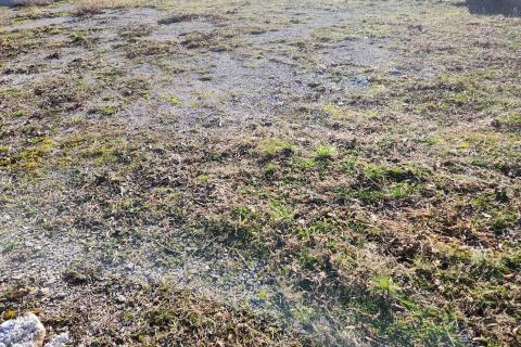 Istra,Lupoglav - građevinski teren