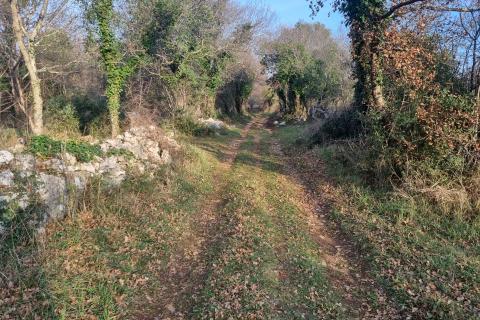 Земельный участок нестроительного назначения Krnica, Marčana, 1.309m2