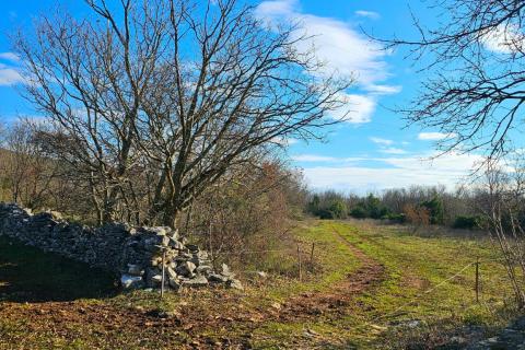 Niet bouwgrond Labin, 3.669m2