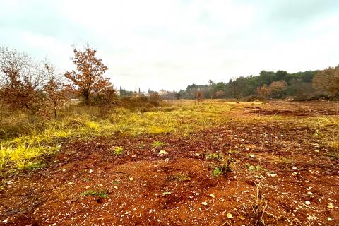 Gađevinsko zemljište , Umag , 125€ m2 , 1000 m2