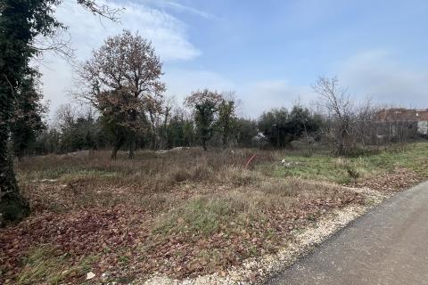 Bauland Sveti Lovreč, 1.350m2