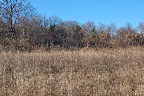 Bauland Barban, 6.708m2