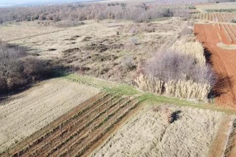Nicht-strukturelle Land Kovači, Kaštelir-Labinci, 1.216m2