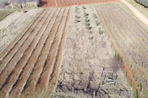 Nicht-strukturelle Land Kovači, Kaštelir-Labinci, 1.216m2