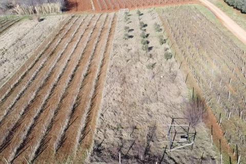 Nicht-strukturelle Land Kovači, Kaštelir-Labinci, 1.216m2