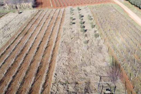 Nicht-strukturelle Land Kovači, Kaštelir-Labinci, 1.216m2