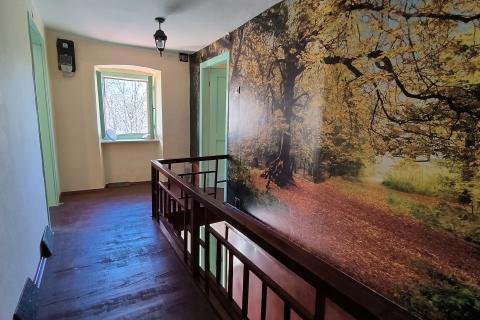 Istra, Ćićarija, dvije kamene kuće okružene netaknutom prirodom