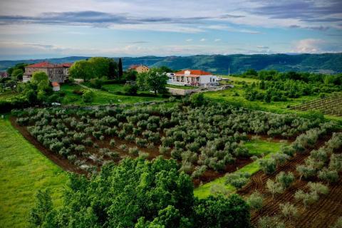 Hiša Poreč okolica, Poreč, 260m2