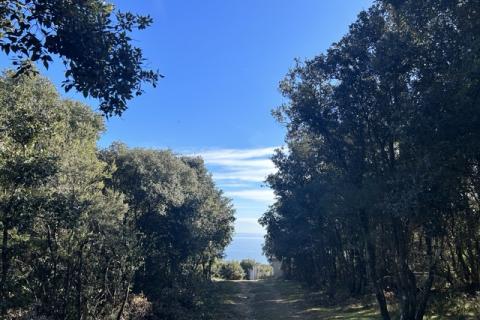 Stavbno zemljišče Krnica, Marčana, 328m2