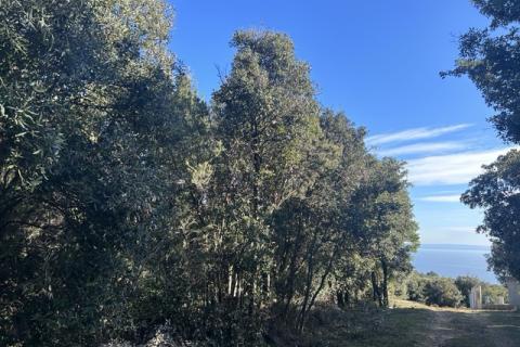 Stavbno zemljišče Krnica, Marčana, 328m2