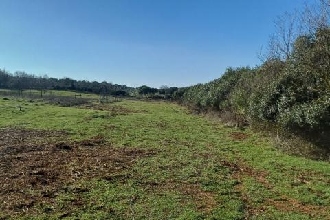 Pula, okolica, poljoprivredna parcela