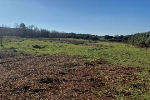 Pula, okolica, poljoprivredna parcela