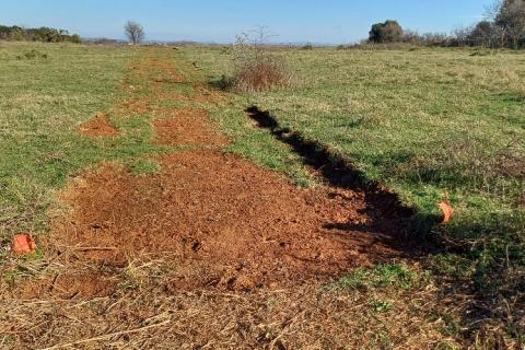 Pula, okolica, poljoprivredna parcela