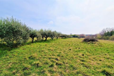 Building plot Umag, 1.367m2