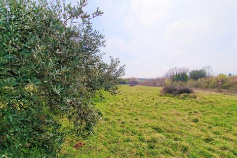 Building plot Umag, 1.367m2