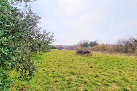 Building plot Umag, 1.367m2