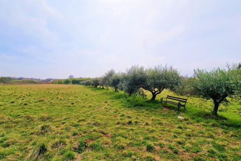 Building plot Umag, 1.367m2