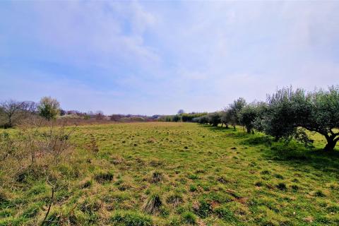 Building plot Umag, 1.367m2