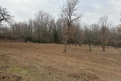 ISTRIA, LABIN - Building plot 5700 m2 in a secluded area