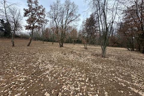 ISTRIA, LABIN - Building plot 5700 m2 in a secluded area