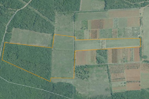 Земельный участок нестроительного назначения Rogovići, Kaštelir-Labinci, 80.112m2