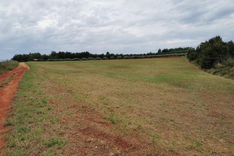 Земельный участок нестроительного назначения Kaštelir, Kaštelir-Labinci, 5.430m2