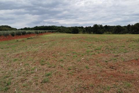 Земельный участок нестроительного назначения Kaštelir, Kaštelir-Labinci, 5.430m2