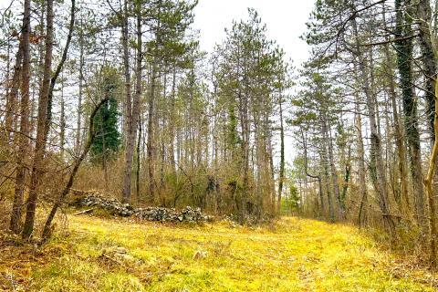 Terreno non edificabile Završje, Grožnjan, 10.514m2