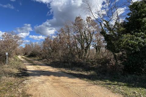 Istra, Poreč - okolica, veliko poljoprivredno zemljište u prvom redu do industrijske zone Kukci